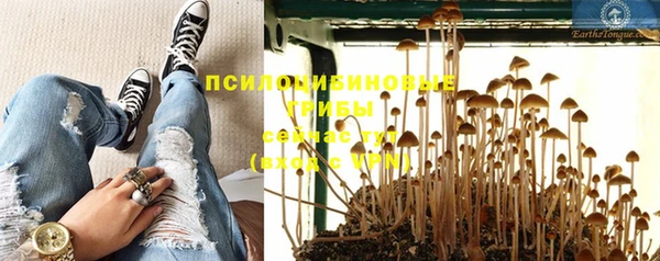 а пвп мука Баксан
