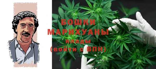 прущие крисы Балахна
