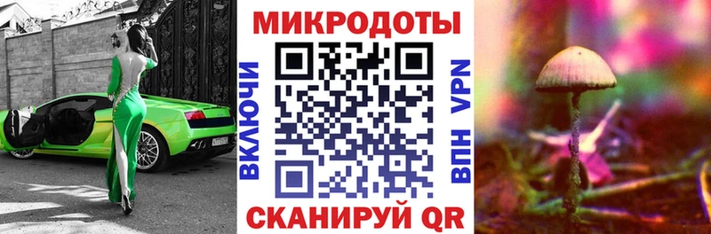 что такое наркотик  Чекалин  Псилоцибиновые грибы мицелий 