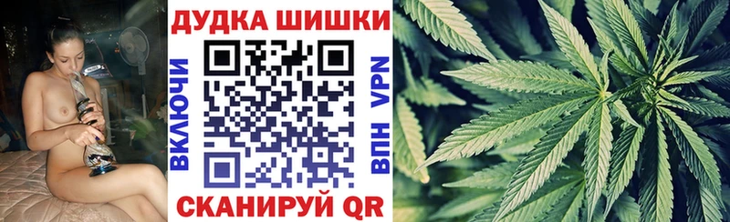 Бошки Шишки конопля  Чекалин 